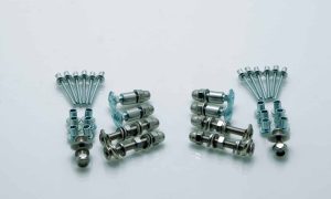 Bolt assembly for the box