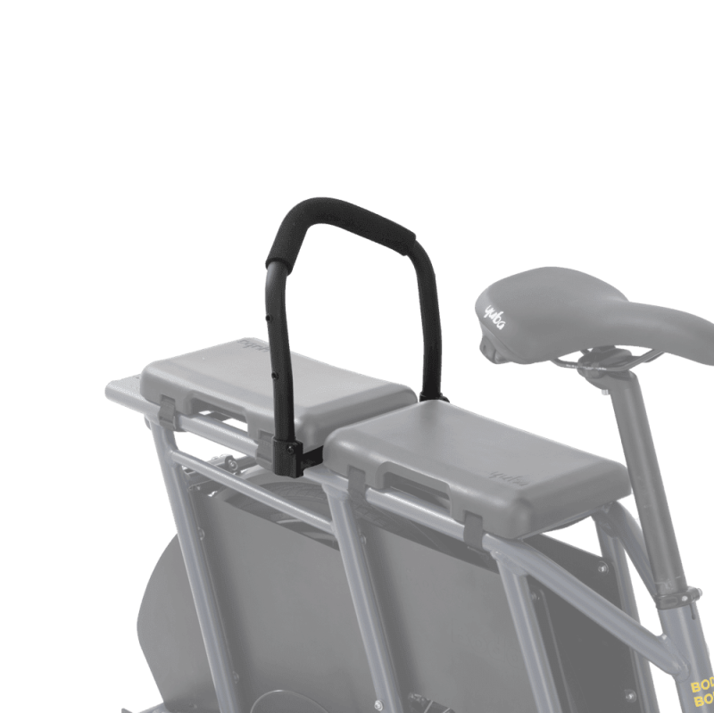 Crest- Passenger Handle - Back Support