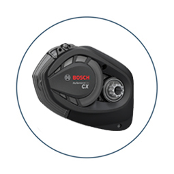 Electric - Bosch 500