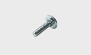 Carriage Bolt 10X45mm, Nut And Washer