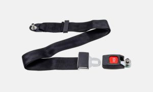Lap Belt