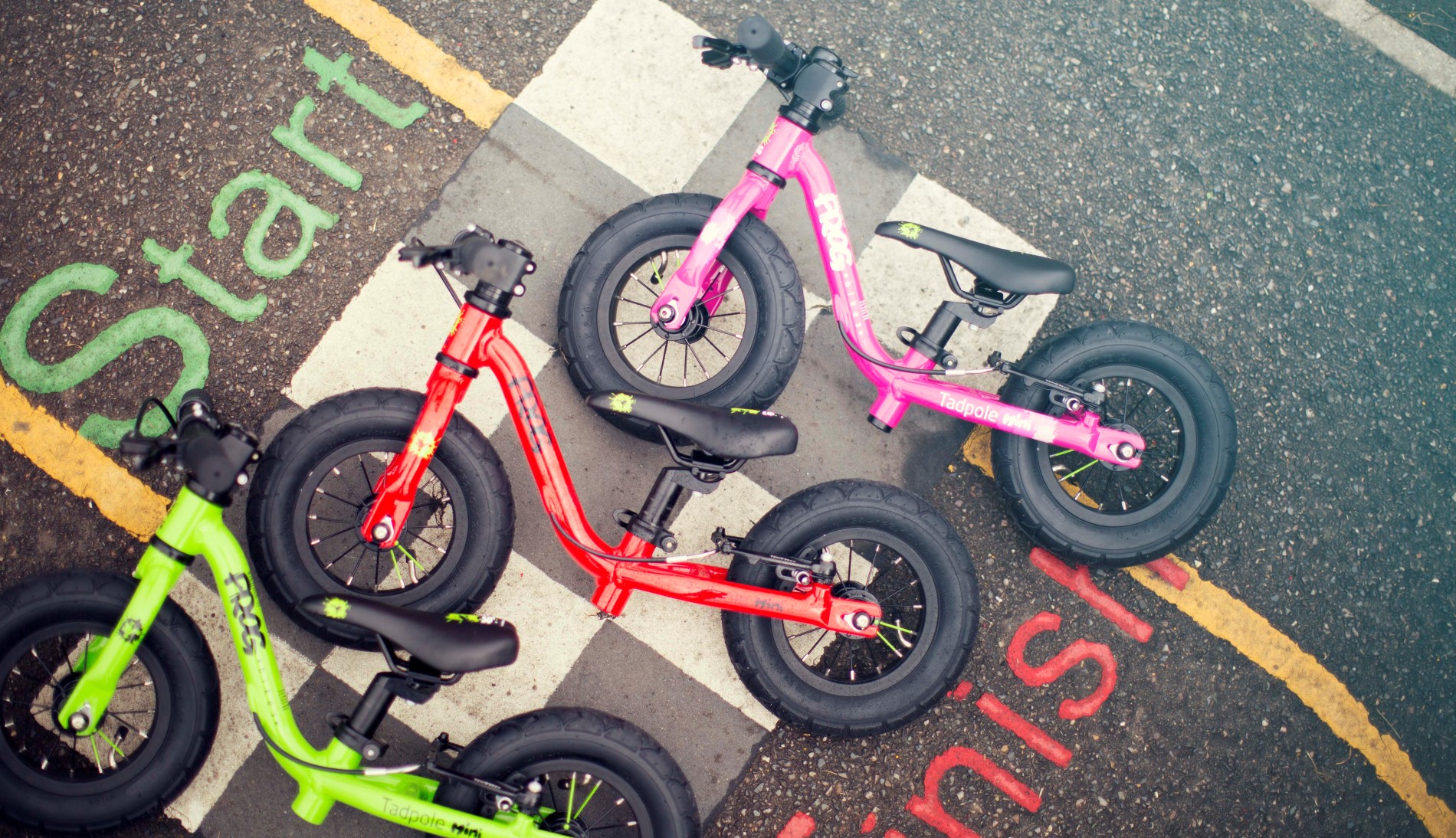 Frog Tadpole Mini bikes of different coulour lying on the ground